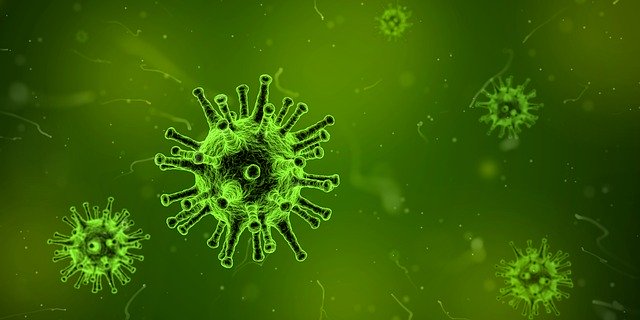 Infeksi Mikroba Patogen