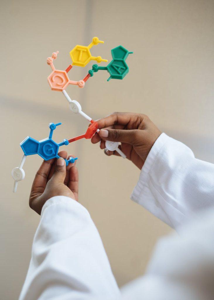 crop chemist holding in hands molecule model